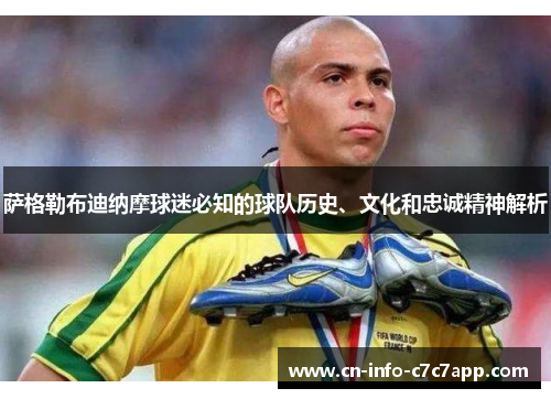 萨格勒布迪纳摩球迷必知的球队历史、文化和忠诚精神解析