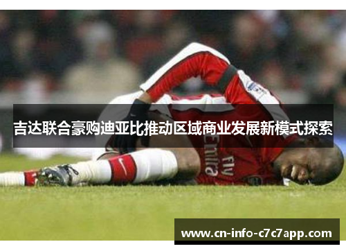 吉达联合豪购迪亚比推动区域商业发展新模式探索