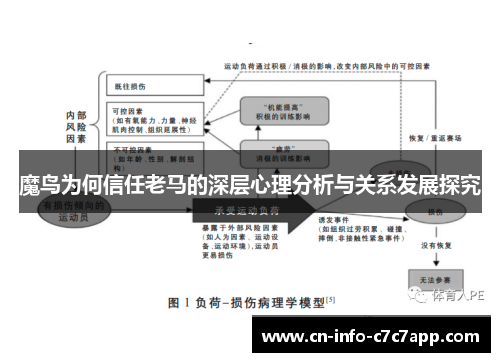 魔鸟为何信任老马的深层心理分析与关系发展探究 魔鸟为何信任老马的深层心理分析与关系发展探究